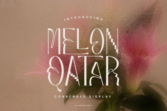 Melon Qatar Typeface Review for Modern Branding