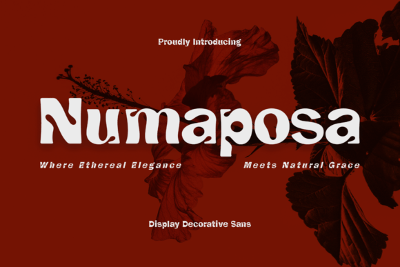 Numaposa: A Modern Display Font for Web Design