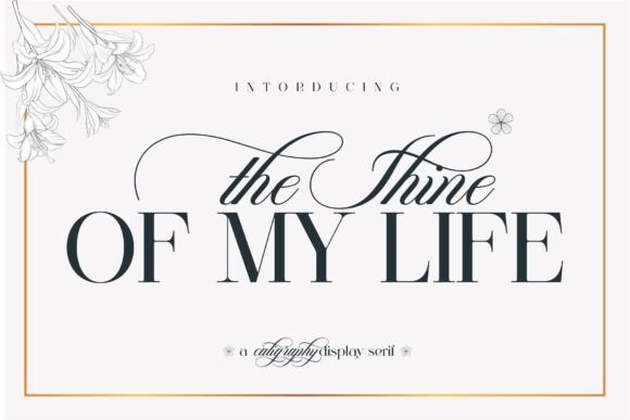 The Shine of My Life Font for Elegant Branding